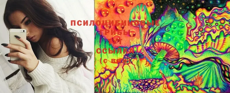 Псилоцибиновые грибы Cubensis  МЕГА как войти  Вяземский 